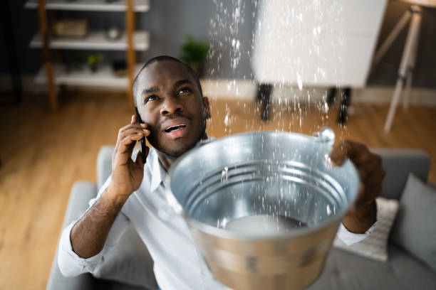 Best Residential water damage restoration  in Warm Springs, CA