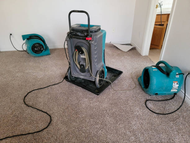 Best Sewage cleanup and water damage restoration  in Warm Springs, CA