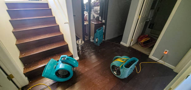 Best Sewage cleanup and water damage restoration  in Warm Springs, CA