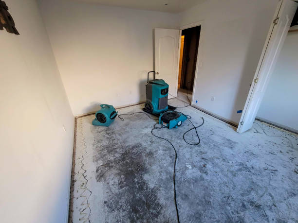 Best Water damage contractors near me  in Warm Springs, CA