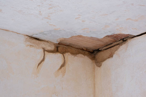 Best Basement water damage restoration  in Warm Springs, CA