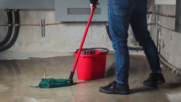 Best Ceiling water damage repair  in Warm Springs, CA