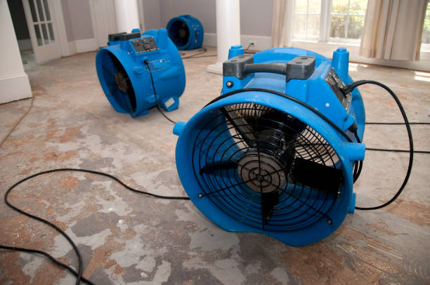 Best Water damage restoration near me  in Warm Springs, CA