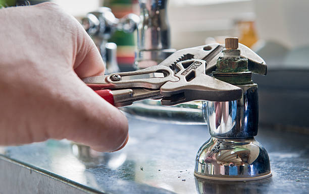 Best Professional water damage repair  in Warm Springs, CA