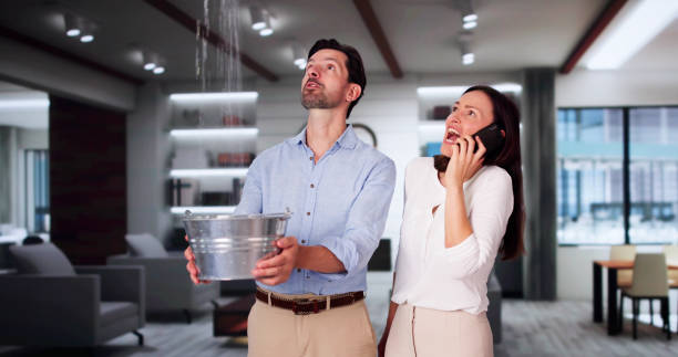 Best Flood restoration services  in Warm Springs, CA